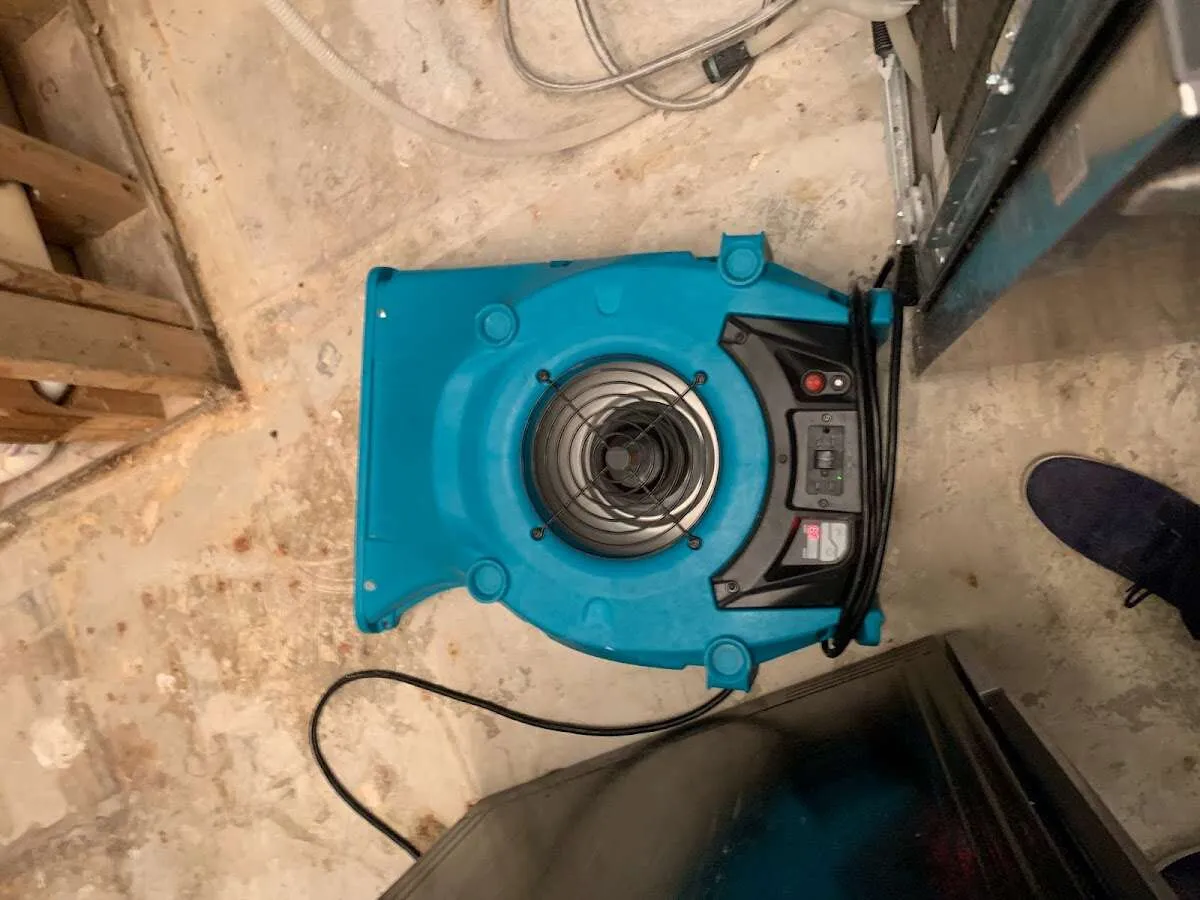 Air mover drying equipment for Mold Remediation & Removal in Austintown